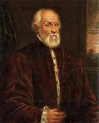 Domenico Tintoretto Portrait of a Gentleman oil painting picture wholesale